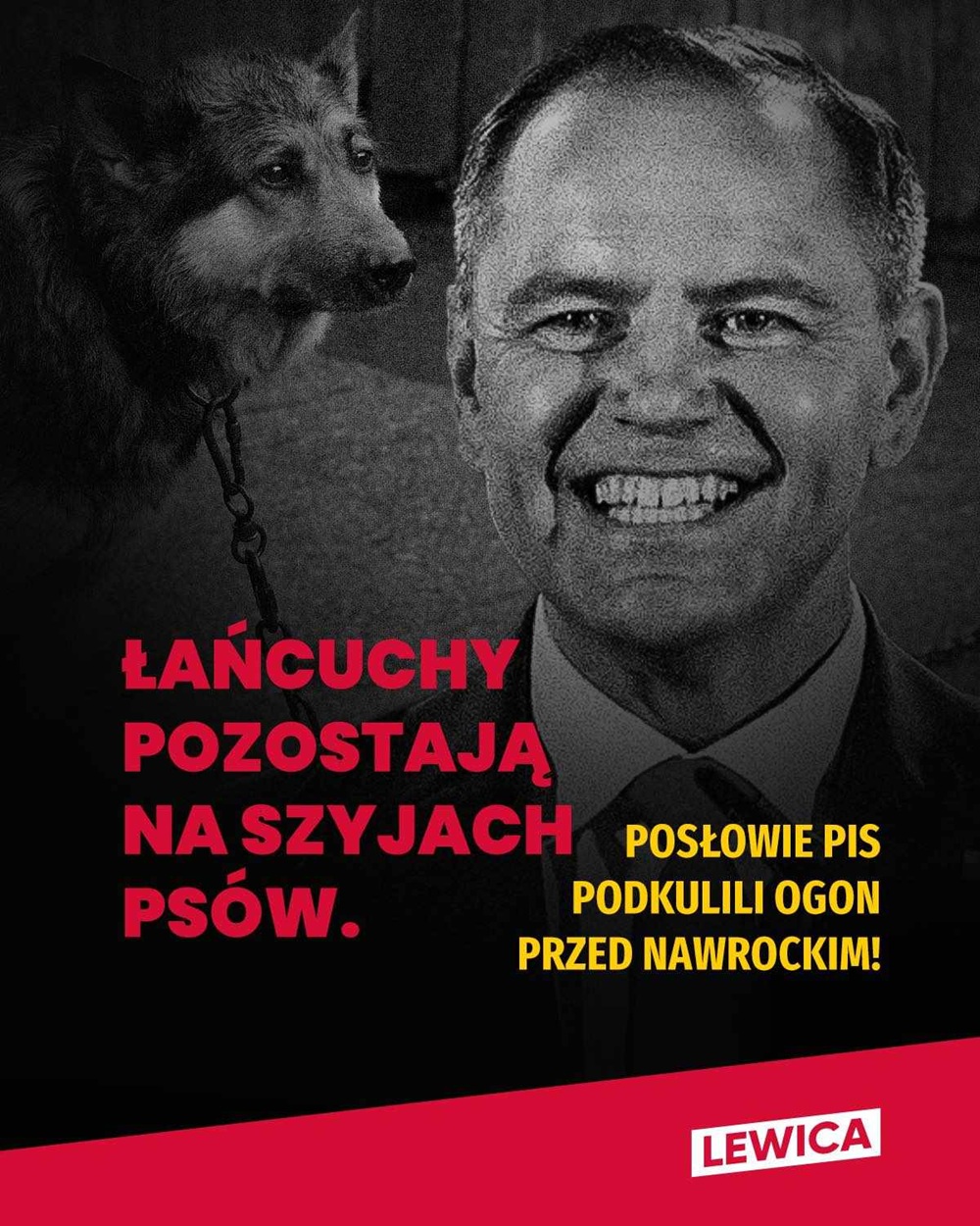 Bez tytułu copy copy